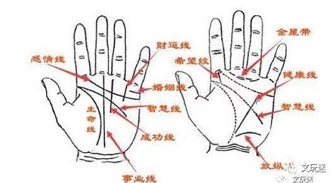 手上有痣代表什麼|手相看手上各个部位有痣的寓意